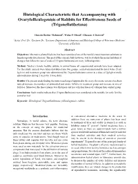 Histological Characteristic That Accompanying with Ovaryfolliculogenisis of Rabbits for Effectiveness Seeds of (Trigonellatibetana)