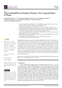 Non-Coding Rnas in Kidney Diseases: the Long and Short of Them
