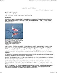 Print Article