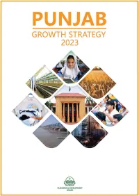 Punjab Growth Strategy 2023