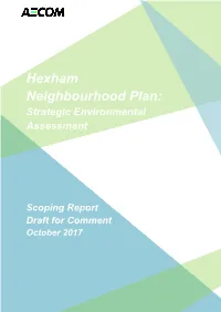 Strategic Environmental Assessment Hexham Scoping Report Draft For