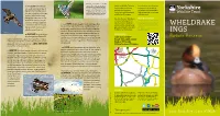 Wheldrake Ings