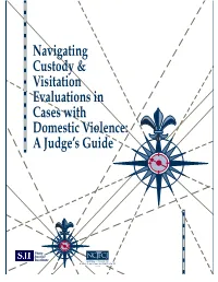 Navigating Custody & Visitation Evaluations in Cases with Domestic