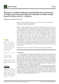 Structure of Anther Epidermis and Endothecium, Production of Pollen, and Content of Selected Nutrients in Pollen Grains from Six Rubus Idaeus L
