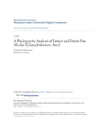 A Phylogenetic Analysis of Extinct and Extant Pan-Alcidae (Charadriiformes: Aves)" (2018)
