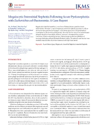 Megalocytic Interstitial Nephritis Following Acute Pyelonephritis with Escherichia Colibacteremia: a Case Report