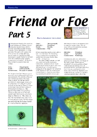 Part 5 DIGITAL IMAGES by the AUTHOR