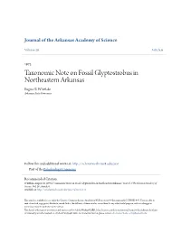 Taxonomic Note on Fossil Glyptostrobus in Northeastern Arkansas Eugene B