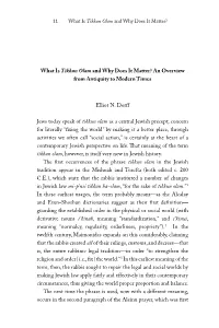 What Is Tikkun Olam and Why Does It Matter?