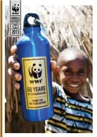 Wwf Id Ar 2013 Final.Pdf