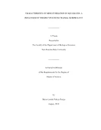 Characteristics of Miniaturization in Squamates: A