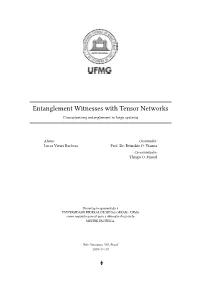 Entanglement Witnesses with Tensor Networks Characterizing Entanglement in Large Systems