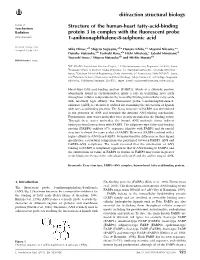 Structure of the Human-Heart Fatty-Acid-Binding Protein 3 In