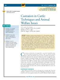 Different Castration Techniques and Welfare