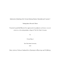 Mathematical Modeling of the Calcium Binding Proteins Calmodulin and Troponin C
