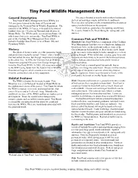 Tiny Pond Wildlife Management Area