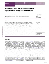 Downloaded from Bioscientifica.Com at 10/01/2021 08:42:07PM Via Free Access Review BGA´ MEZ and Others Role of Micrornas in Skeletal 52:3 R180 Development