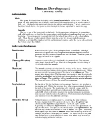 Human Development Summary