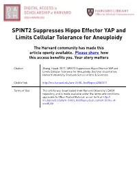 SPINT2 Suppresses Hippo Effector YAP and Limits Cellular Tolerance for Aneuploidy