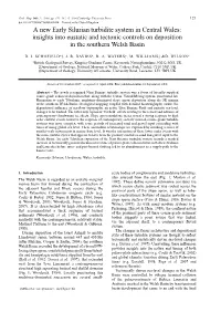 A New Early Silurian Turbidite System in Central Wales: Insights Into Eustatic and Tectonic Controls on Deposition in the Southern Welsh Basin