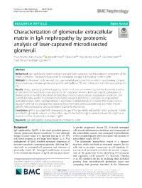 Characterization of Glomerular Extracellular Matrix in Iga Nephropathy by Proteomic Analysis of Laser-Captured Microdissected Gl