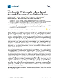 Mitochondrial DNA Survey Reveals the Lack of Accuracy in Maremmano Horse Studbook Records