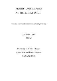 Prehistoric Mining at the Great Orme