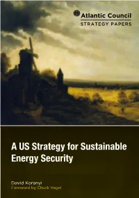 A US Strategy for Sustainable Energy Security