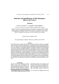 Detection and Identification of Fish Pathogens: What Is the Future?