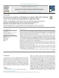 Draft Genome Sequence of Staphylococcus Agnetis 3682, the Producing