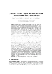 Efficient Large-State Tweakable Block Ciphers from the AES Round Function