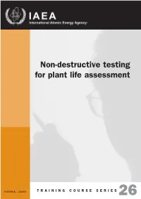 Non-Destructive Testing for Plant Life Assessment