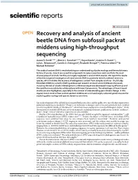 Recovery and Analysis of Ancient Beetle DNA from Subfossil Packrat Middens Using High‑Throughput Sequencing Aaron D