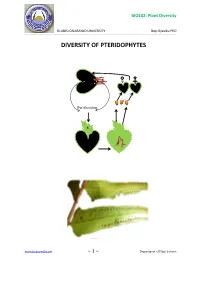 Diversity of Pteridophytes