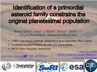 Identification of a Primordial Asteroid Family Constrains the Original
