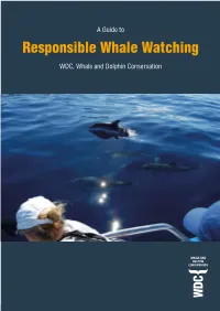 WDC Guide to Responsible Whale Watching
