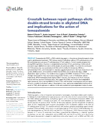 Crosstalk Between Repair Pathways Elicits Double-Strand Breaks In