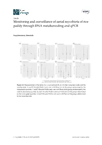 Monitoring and Surveillance of Aerial Mycobiota of Rice Paddy Through DNA Metabarcoding and Qpcr