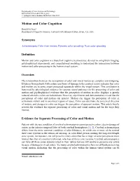 Motion and Color Cognition