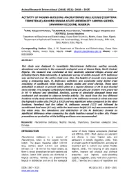 Activity of Mound-Building Macrotermes Bellicosus