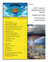GAPP - Grapevine Asphalt Preservation Program