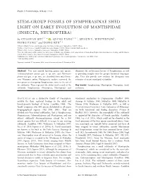 Stem&#X2010;Group Fossils of Symphrasinae Shed Light on Early