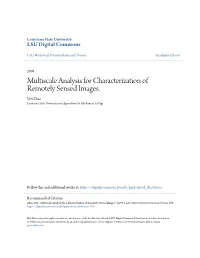 Multiscale Analysis for Characterization of Remotely Sensed Images