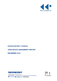 Open Space Assessment Report