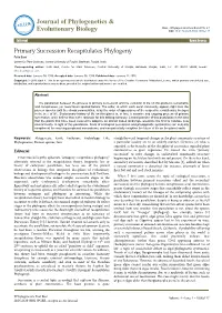 Primary Succession Recapitulates Phylogeny