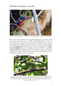 NSS Bird Group Report – Jun 2016