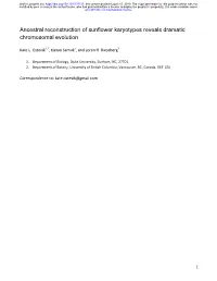 737155V1.Full.Pdf