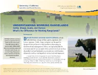 Cattle, Sheep, Goats, and Horses: What’S the Difference for Working Rangelands?