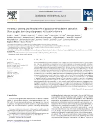 Molecular Cloning and Knockdown of Galactocerebrosidase in Zebrafish