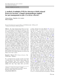 A Method of Multiplex PCR for Detection of Field